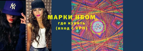 стафф Алексин