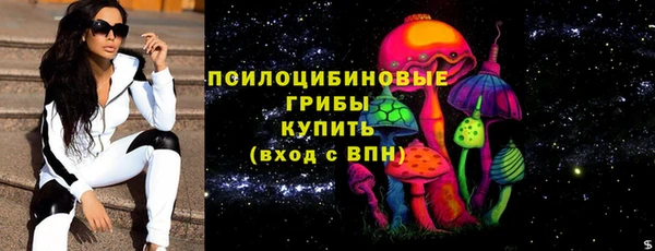 стафф Алексин
